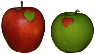 pomme 26 liste